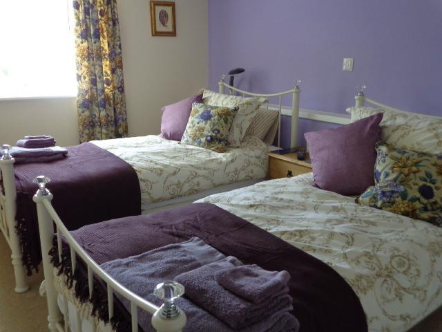 Lodge House B&B Buckland St Mary Номер фото