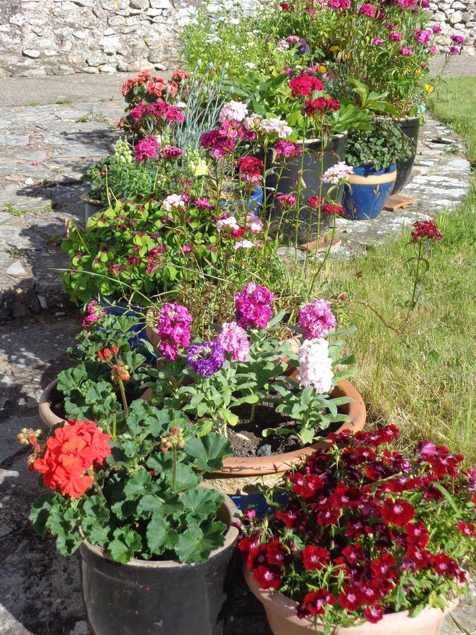 Lodge House B&B Buckland St Mary Экстерьер фото